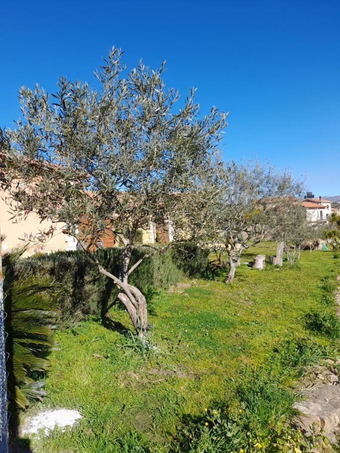 Agriturismo La Stragola 니코시아 외부 사진
