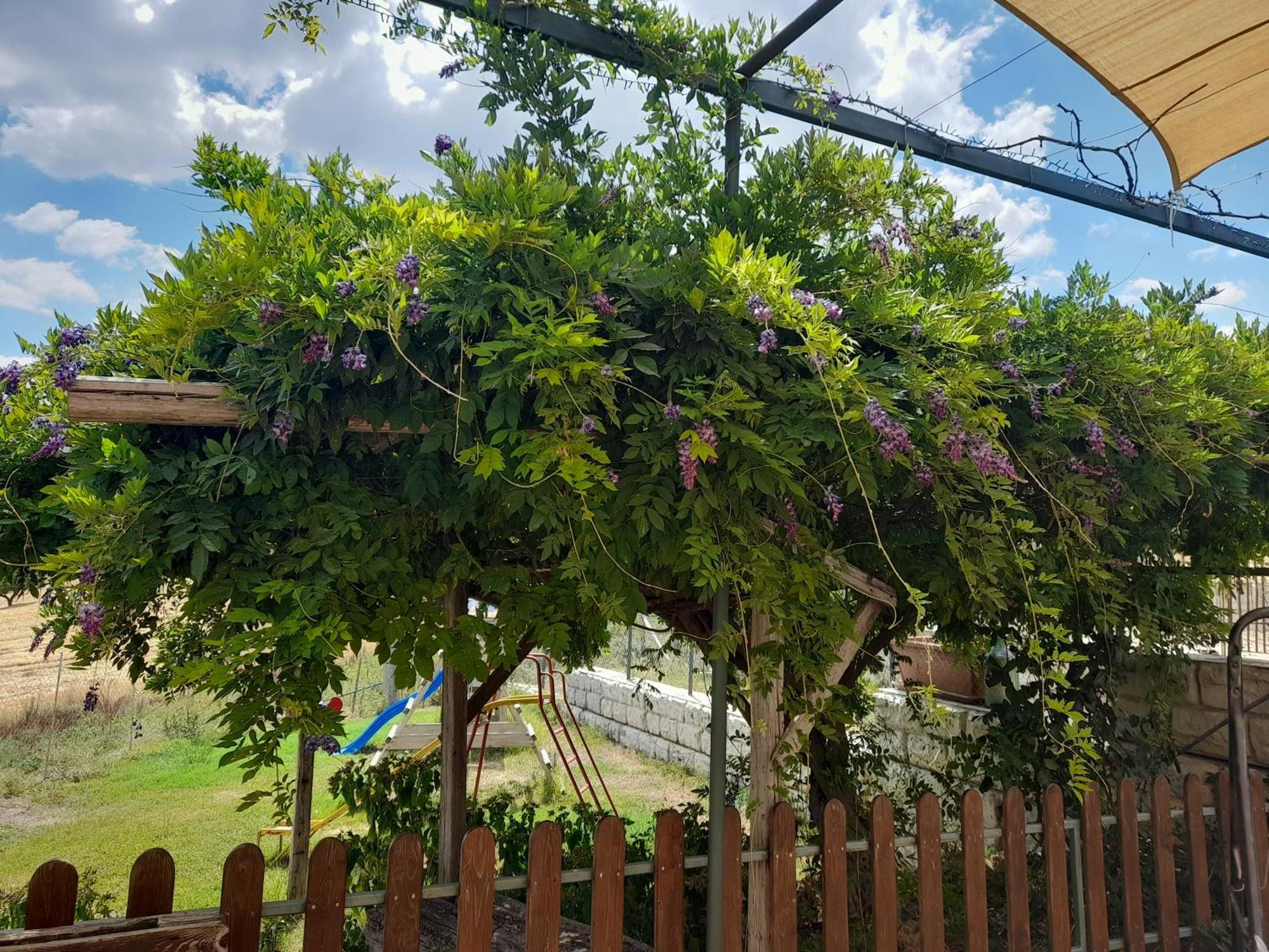 Agriturismo La Stragola 니코시아 외부 사진